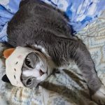 最近物忘れが・・・