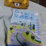 交通ルールは大切🐈