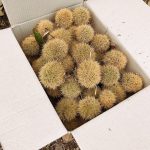 食欲の秋🌰⁉️
