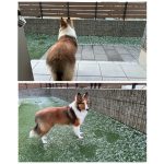 雪だぁーーー❄️