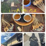 はじめまして(•ᵕᴗᵕ•)